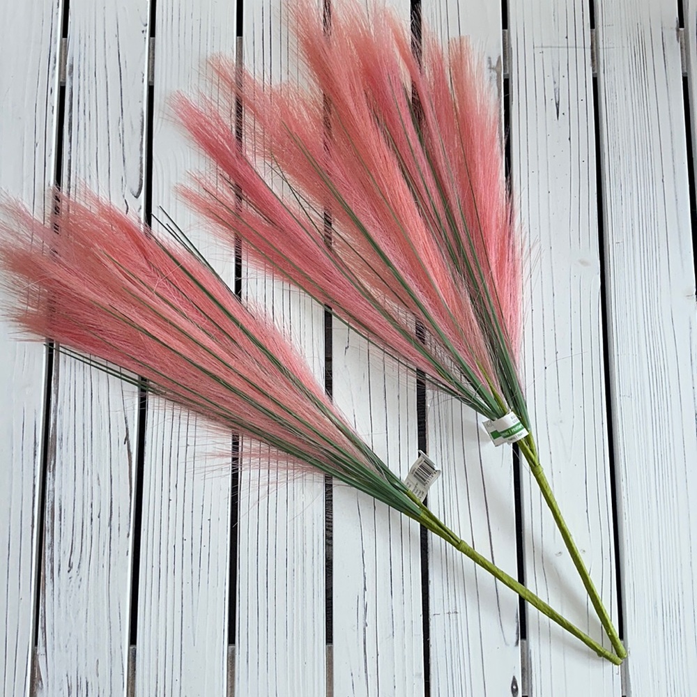 Pink Spring Pampas